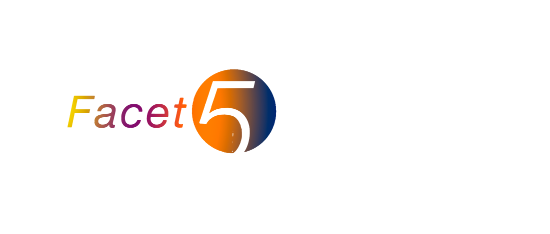 facet5-værktøj-bruges-til-konsulentydelser-ved-mette-havkrog-og-henrik-byrgiel-fra-sentire-Konsulenthus-med-over-20-aars-erfaring